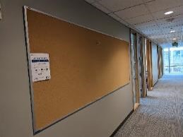 Corkboard, Wall-Mounted, 120&quot; x .5&quot; x 47&quot;
