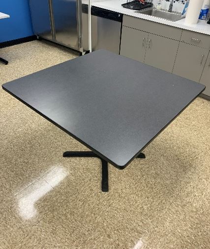 Lunch Tables, 42&quot;