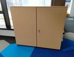[#D30-15] 2 Door Cabinet (140x100cm)