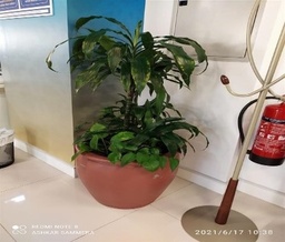 [#J5-53] Plant 