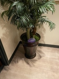 [#J5-11] Plant