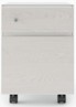 [#D16-22] Greenpoint Mobile Ped **Photo Representative**
